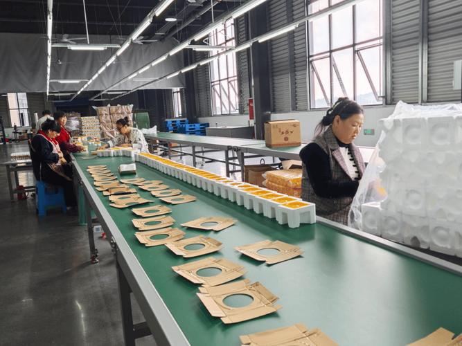 四川风行包装制品,一个个精致的白酒包装盒在生产车间里诞生